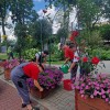  fot. ZAZ przy Bytomskim Stowarzyszeniu Pomocy Dzieciom i Młodzieży Niepełnosprawnej 